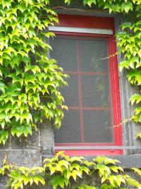 Fenster mit Insektenschutz